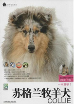 苏格兰牧羊犬