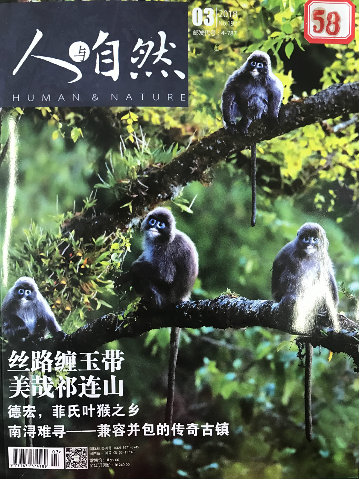 人与自然