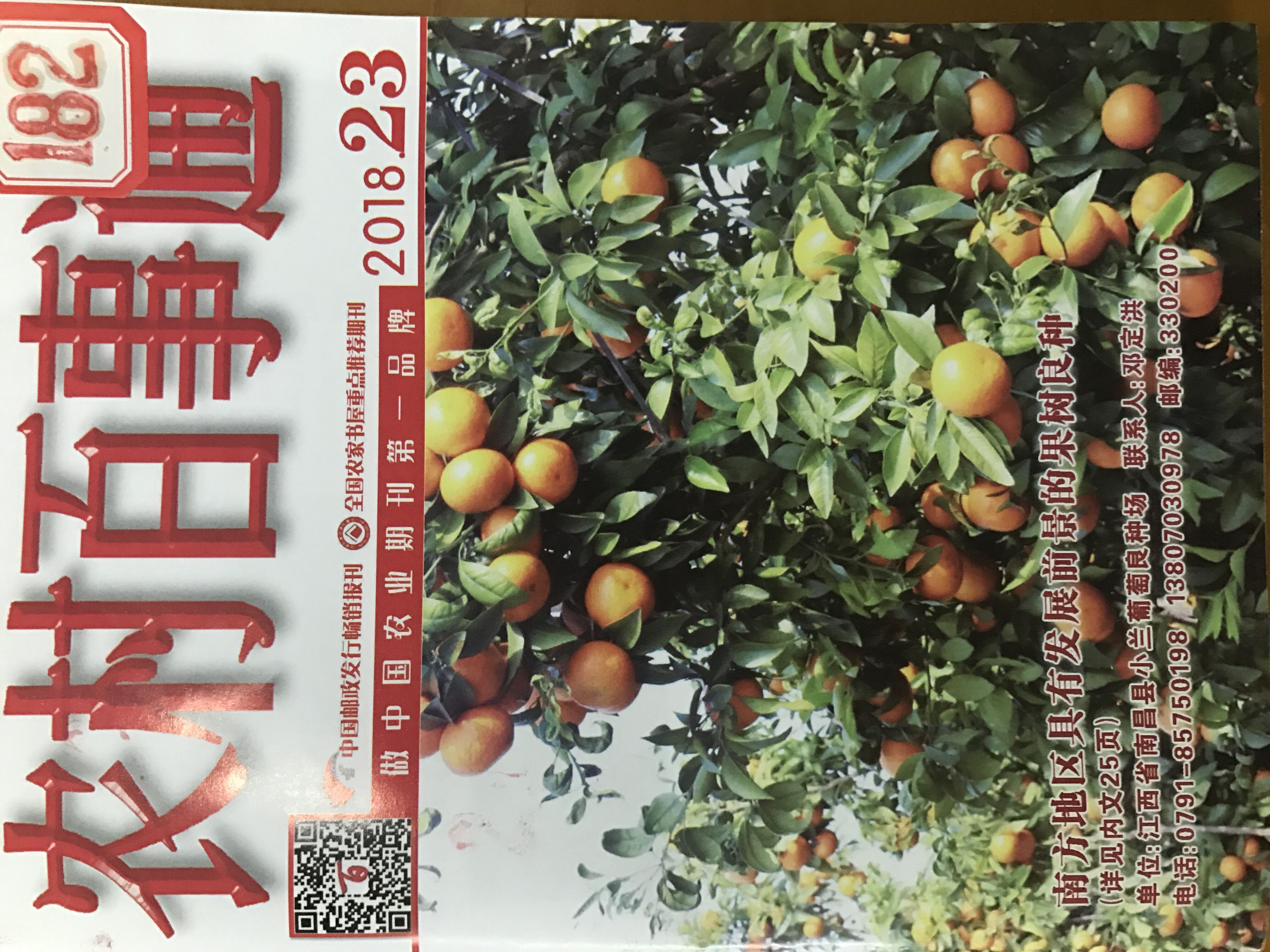 农村百事通